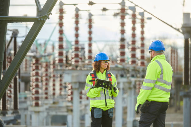 Best Affordable Emergency Electrician  in Lake Vla, IL