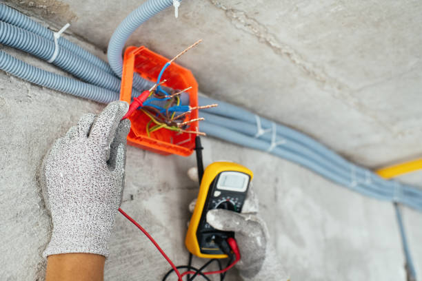 Best Electric Panel Repair  in Lake Vla, IL
